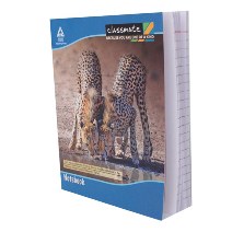 CLASSMATE EXERCISE NOTEBOOK 172 PAGES